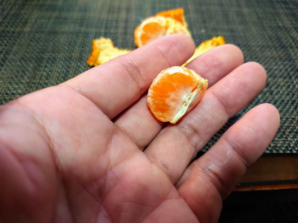 名駒のコミカン
