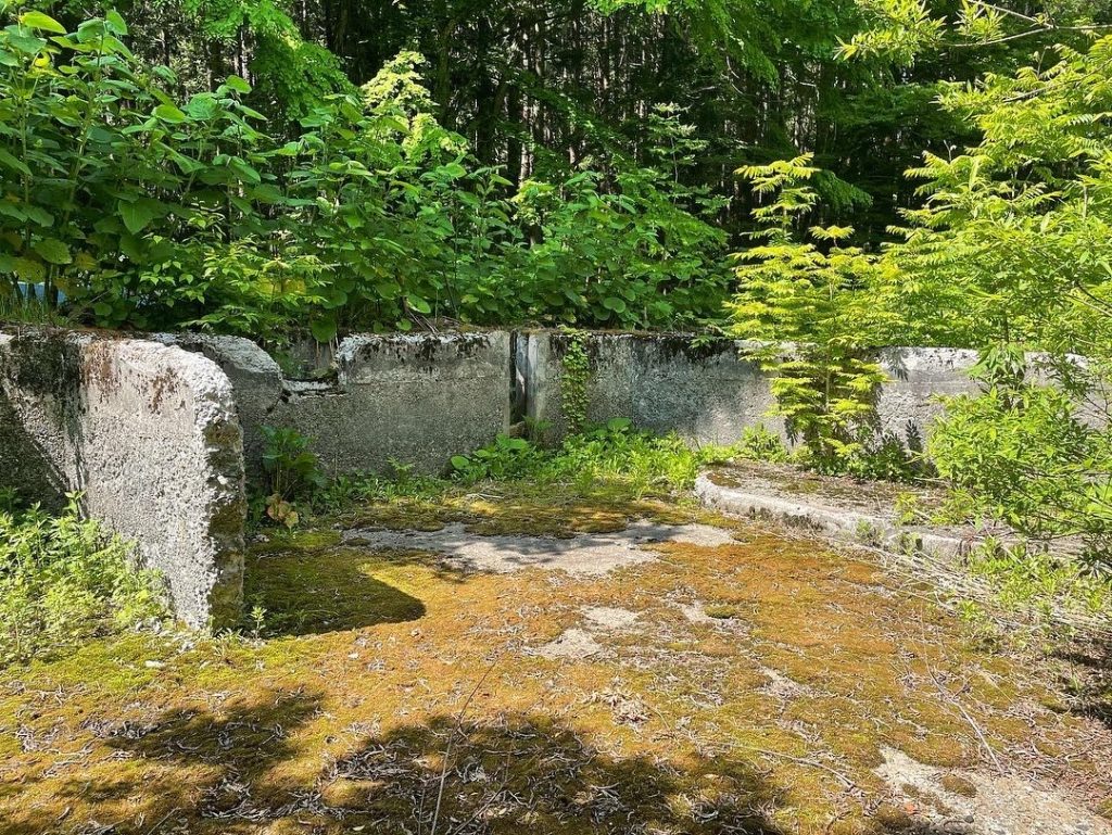 (露熊集落の鯉茶屋跡地の釣り堀跡)