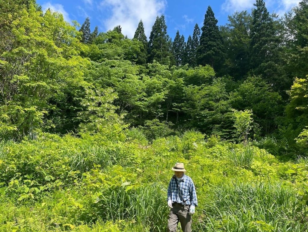 (露熊集落の鯉茶屋跡地)