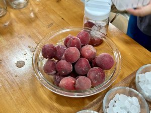 幻の梅 露茜で梅シロップ作り