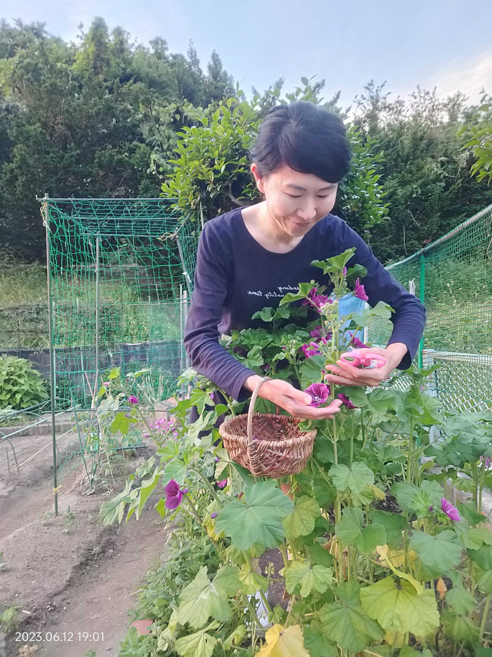 田畑詞子