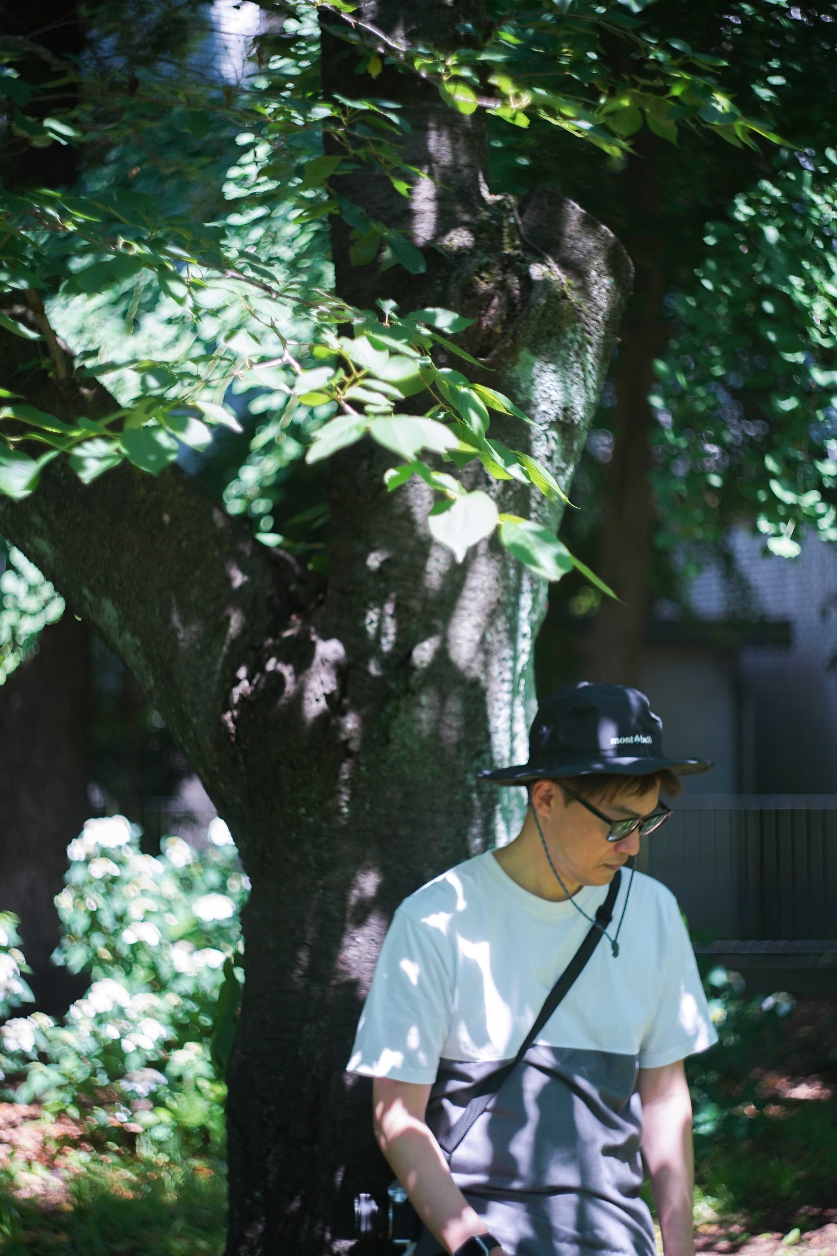 原田優也