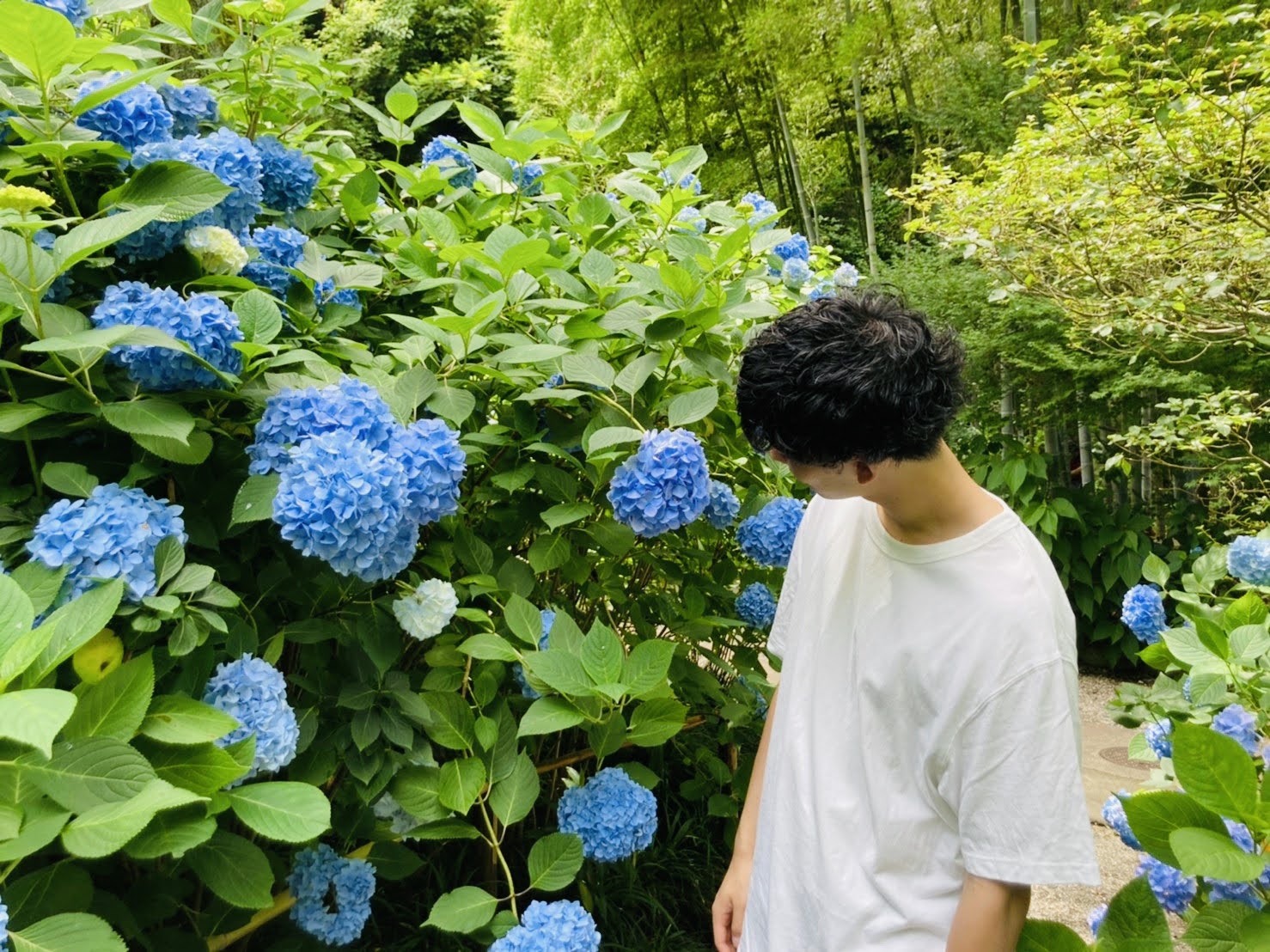 三芳洋瑛