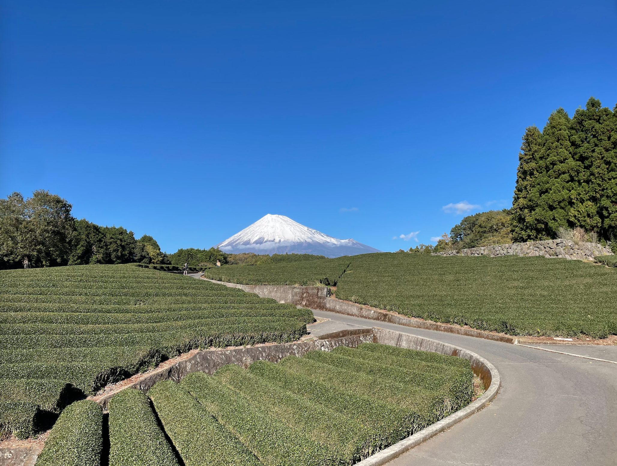 ローカリティ！静岡